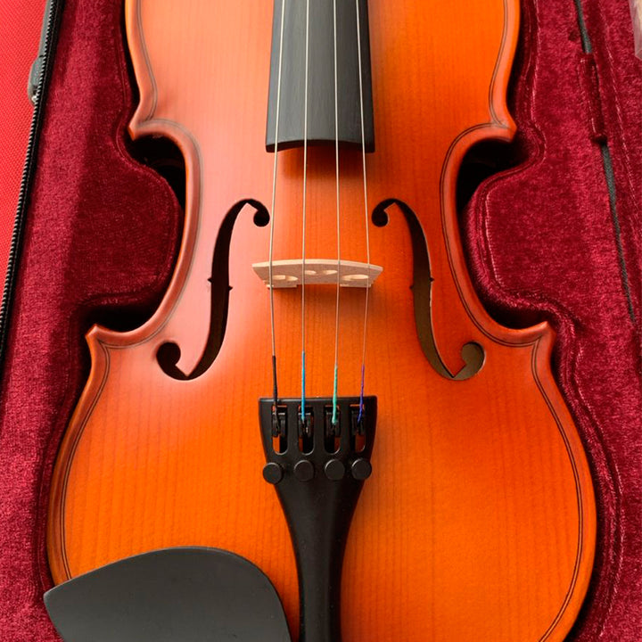 VIOLIN 4/4 (USADO)