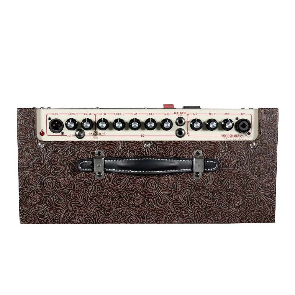 AMPLIFICADOR GUITARRA ACUSTICA ASHDOWN WOODSMAN CLASSIC, 40 WATT, 1 X 8"